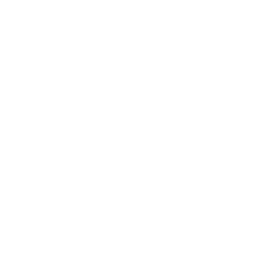 Logo Studio Dott. Rino Lanzi